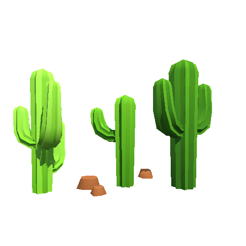 Cactus Cluster 04